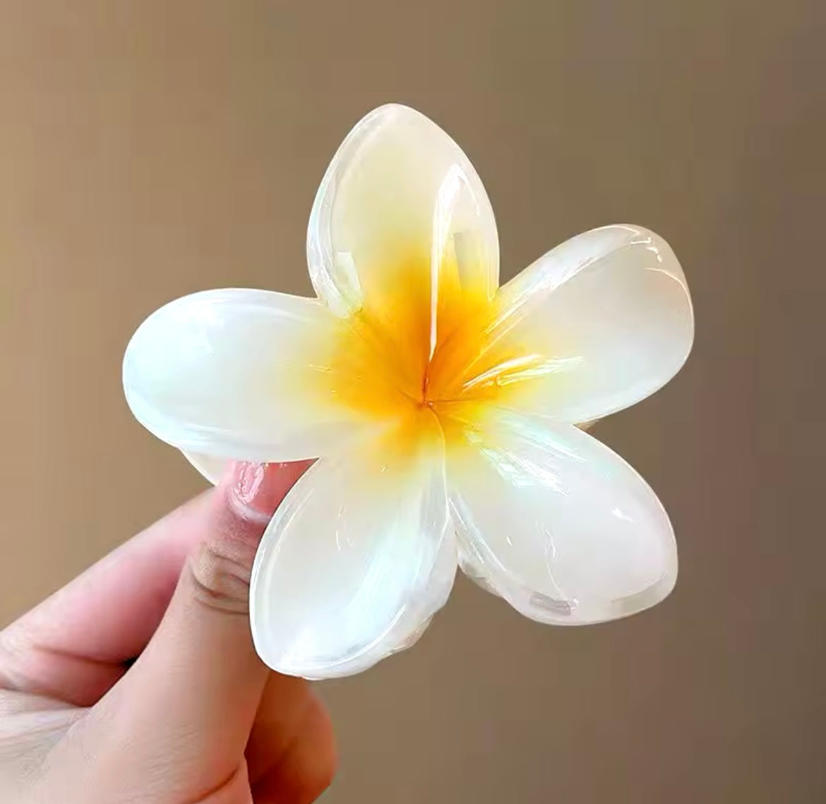 Hawaiian hair clips