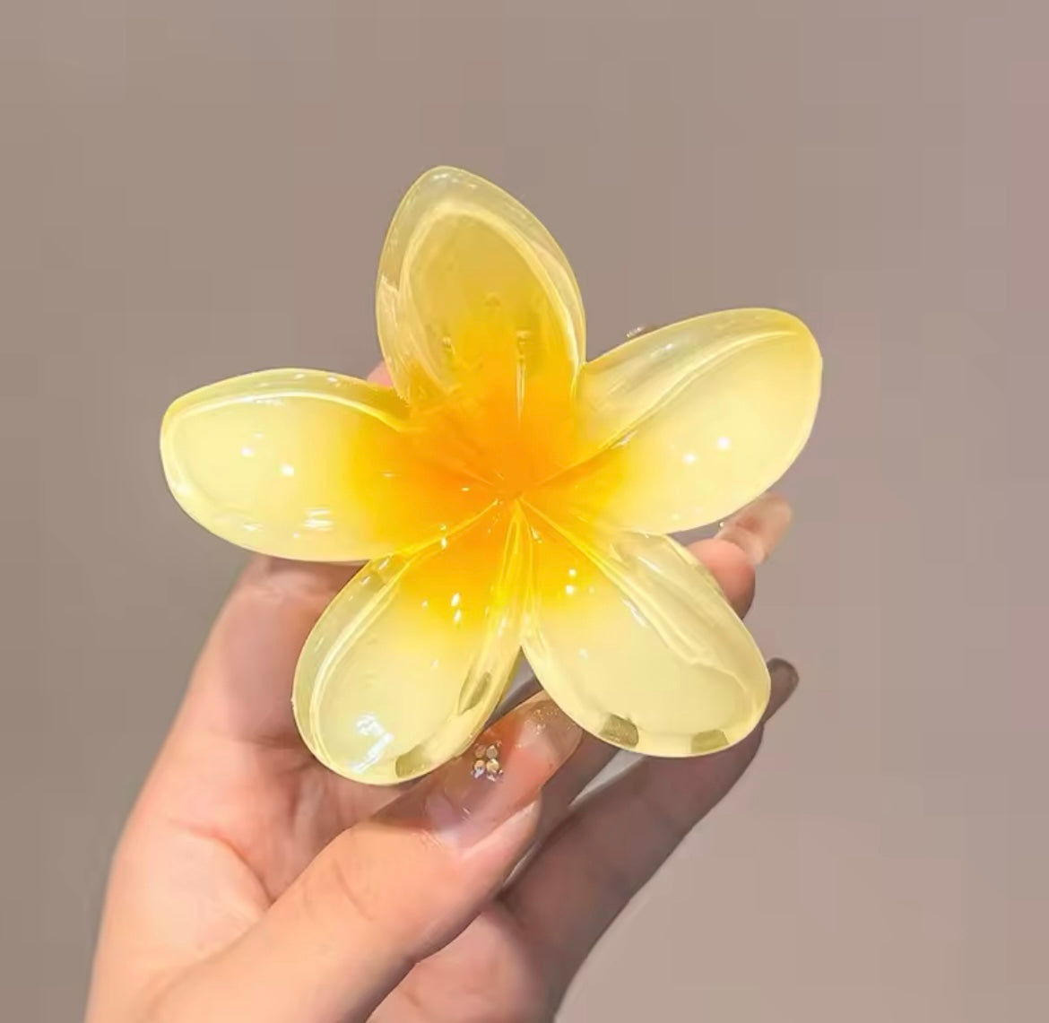 Hawaiian hair clips