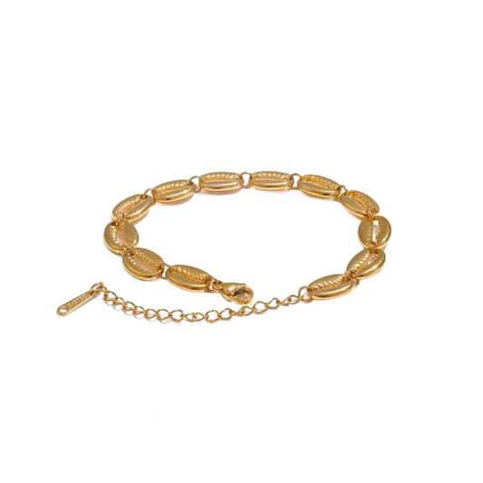 Shell bracelet