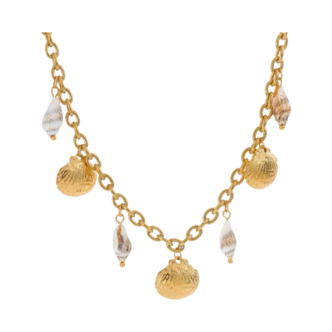 Sea shells necklace