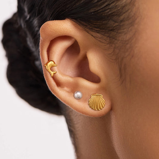 Beach earrings set (dolphin)