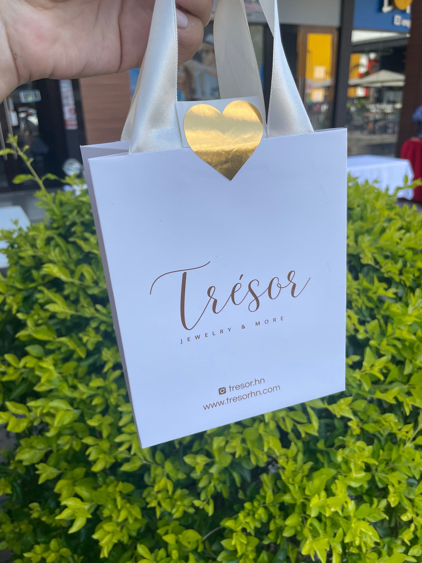 Bolsa Tradicional